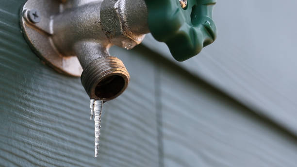 Best Commercial Plumbing Services  in Meridian Hills, IN